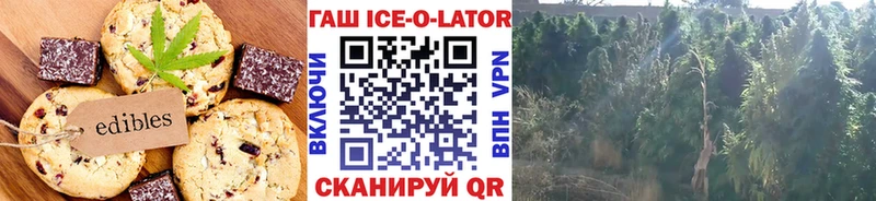 МЕГА онион  как найти наркотики  Мантурово  Еда ТГК марихуана 