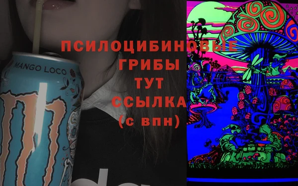PSILOCYBIN Медногорск